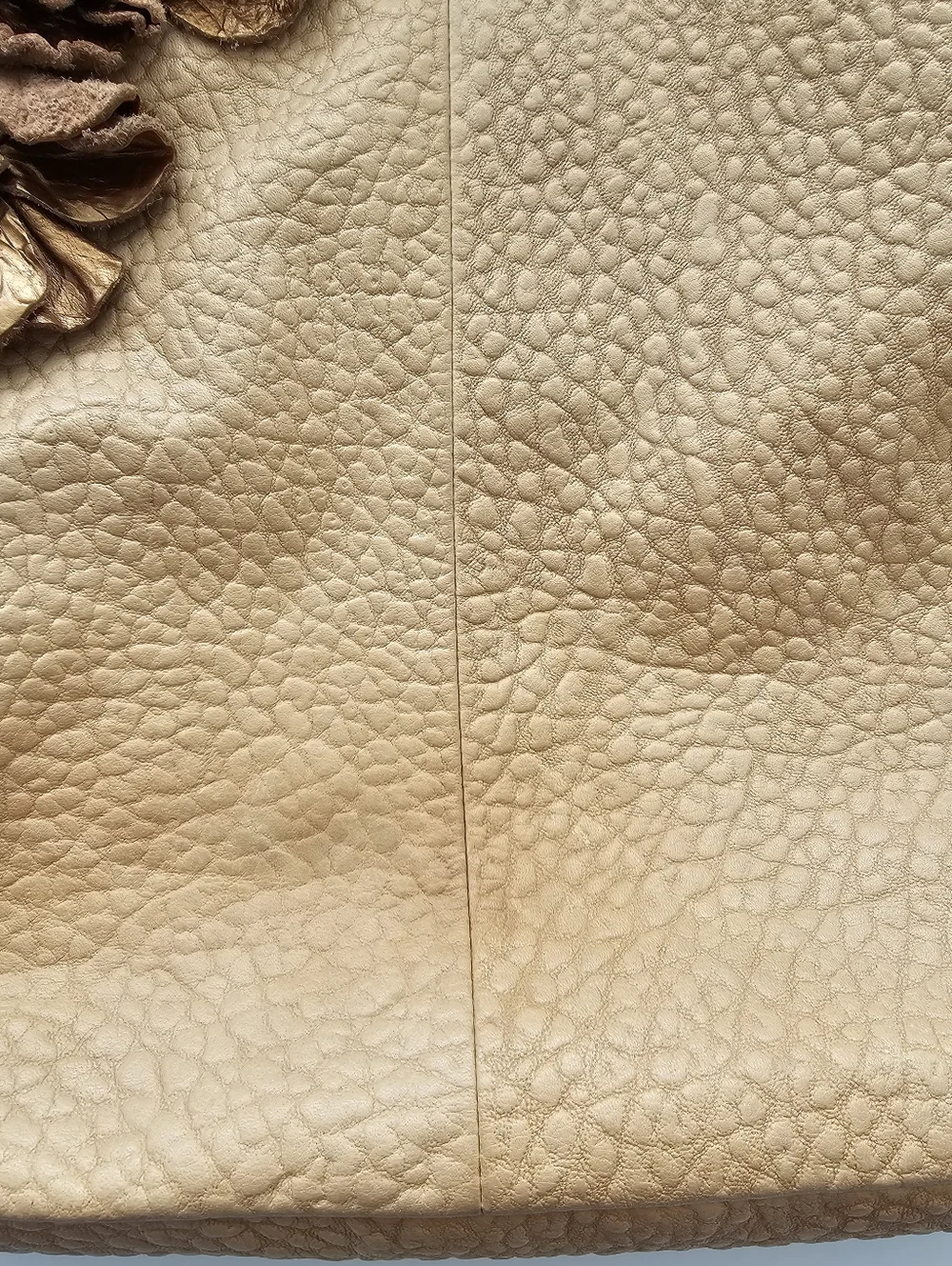 Cynthia Rowley Pebble Leather Floral Applique Hobo​ Bag